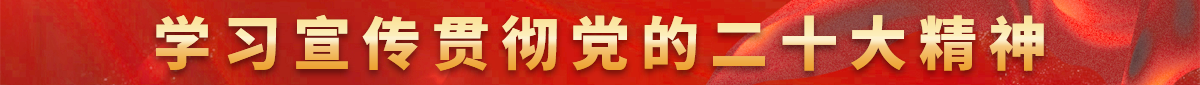 学习宣传贯彻党的二十大精神